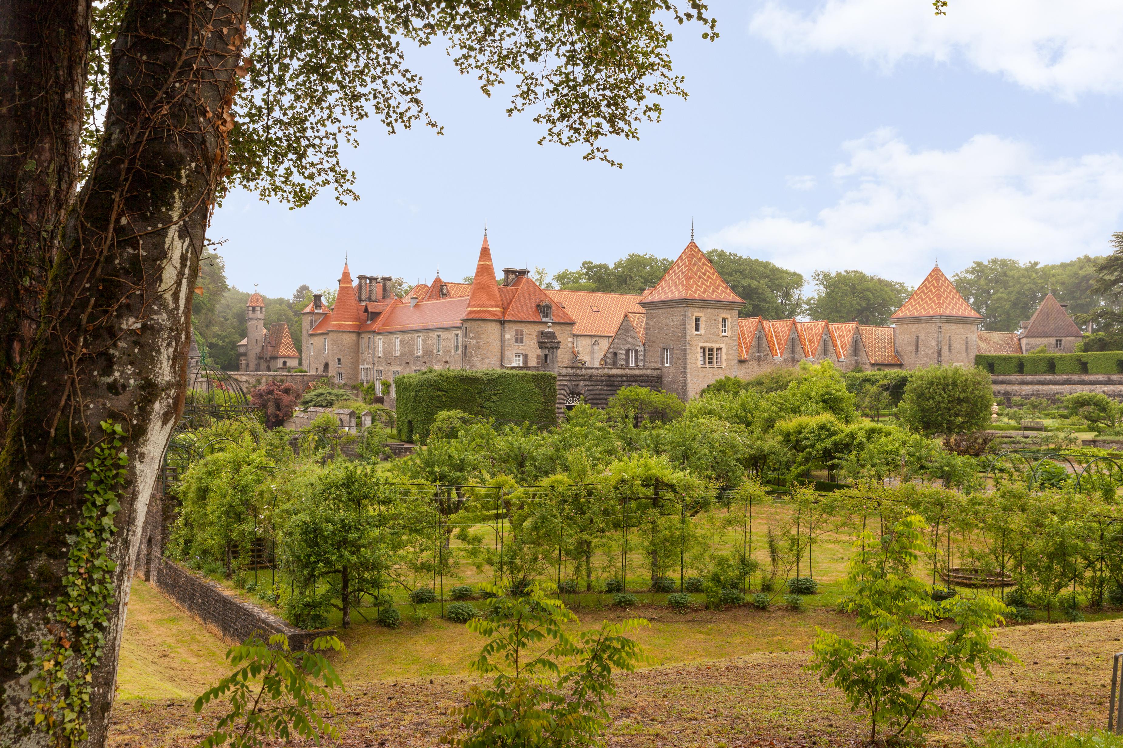 Chateau De Bournel Cubry Dış mekan fotoğraf